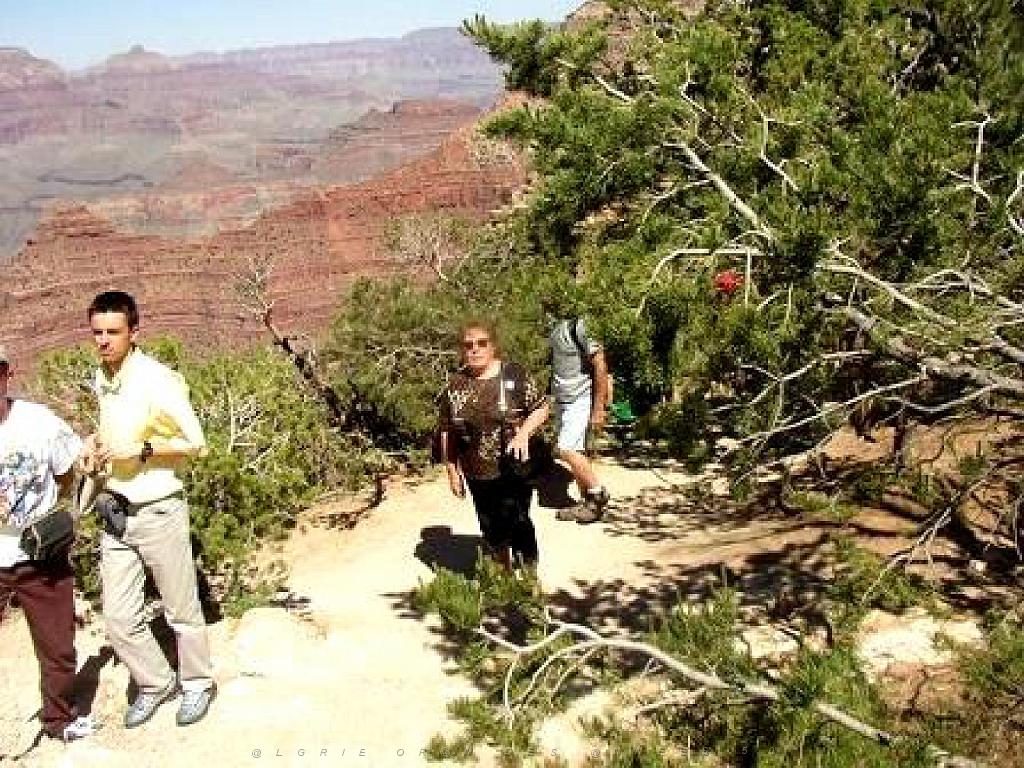 107  USA LE GRAND CANYON 2005_000006.jpg
